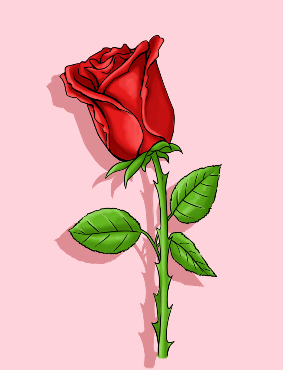 how to draw a rose